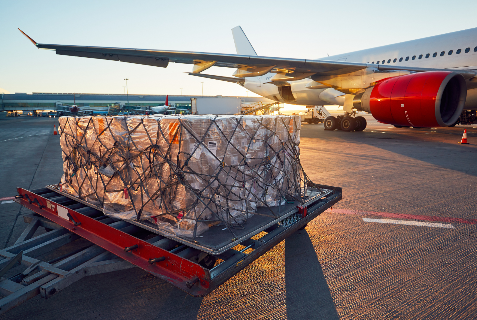 Cargoflext Logística